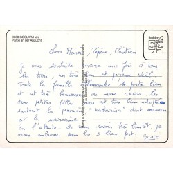 Goslar Abzucht Harz Allemagne Carte Postale Ancienne