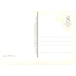 Romantik am Rhein Rhin Allemagne Carte Postale Multivues