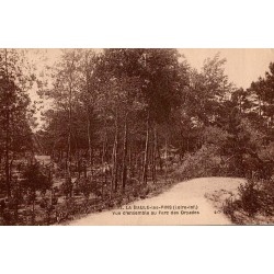 Carte postale ancienne vue d’ensemble du Parc des Dryades et des pins à La Baule