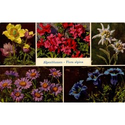 CPSM Suisse Alpenblumen Flora alpina fleurs des Alpes edelweiss gentiane rhododendron