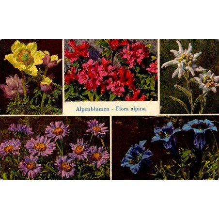CPSM Suisse Alpenblumen Flora alpina fleurs des Alpes edelweiss gentiane rhododendron