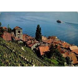 CPSM Saint-Saphorin près Vevey village viticole vignobles de Lavaux et lac Léman Suisse