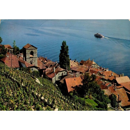 CPSM Saint-Saphorin près Vevey village viticole vignobles de Lavaux et lac Léman Suisse