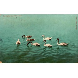 CPA Genève cygnes sur le lac Léman Monopol Zürich circulée en 1908