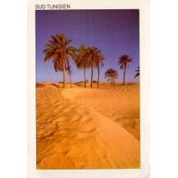 CPM Sud Tunisien oasis palmiers désert Sahara Tunisie