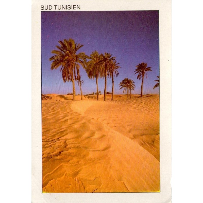 CPM Sud Tunisien oasis palmiers désert Sahara Tunisie
