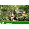 Temple traditionnel de Tampak Siring à Bali en Indonésie, carte postale CPM en couleurs
