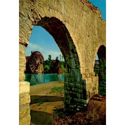 Hama Noria el Bechriat roue hydraulique sur l’Oronte en Syrie carte postale CPSM