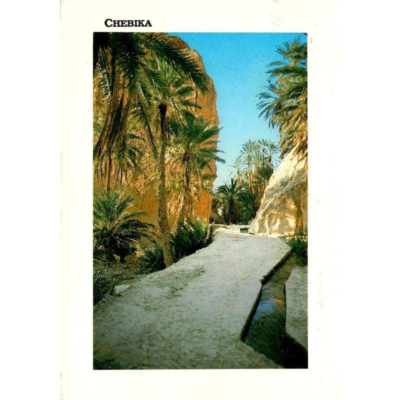 Chebika oasis de montagne palmeraie et canal d’irrigation en Tunisie carte postale CPM