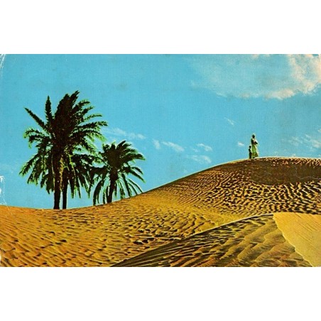 Arabie Saoudite Bédouin dans le désert avec dunes et palmiers carte postale CPM