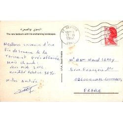 CPM Arabie Saoudite Bédouin désert palmiers
