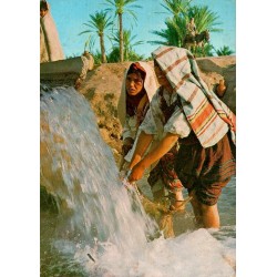 Bédouines à la source dans une oasis du Sud tunisien avec palmiers carte postale CPM