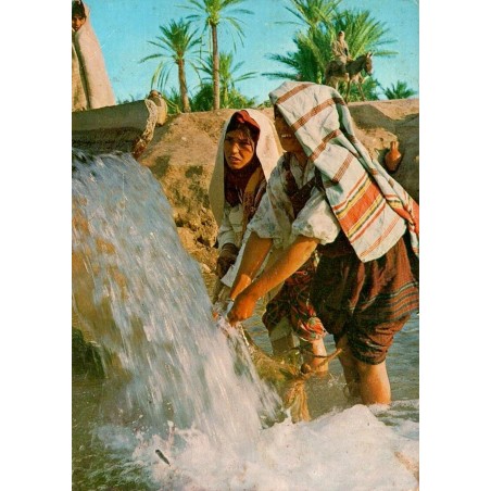 Bédouines à la source dans une oasis du Sud tunisien avec palmiers carte postale CPM