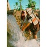 Bédouines à la source dans une oasis du Sud tunisien avec palmiers carte postale CPM
