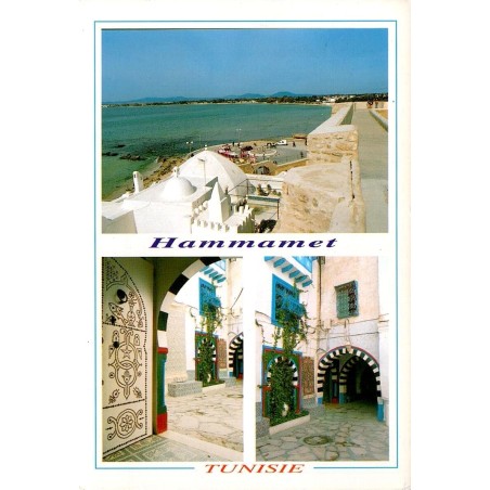 CPM Hammamet Tunisie vue sur la mer remparts et ruelles de la médina