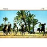 Tunisie fantasia cavaliers à cheval palmeraie carte postale moderne