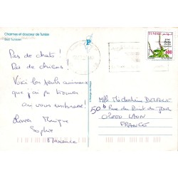 Sud Tunisien Dromadaires – Tunisie – Carte Postale Moderne CPM