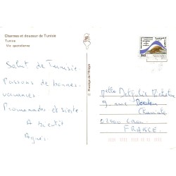 Tunisie Vie Quotidienne Âne Dromadaire – Carte Postale CPM