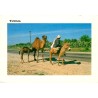 Tunisie homme à dos d’âne dromadaire vie quotidienne carte postale moderne
