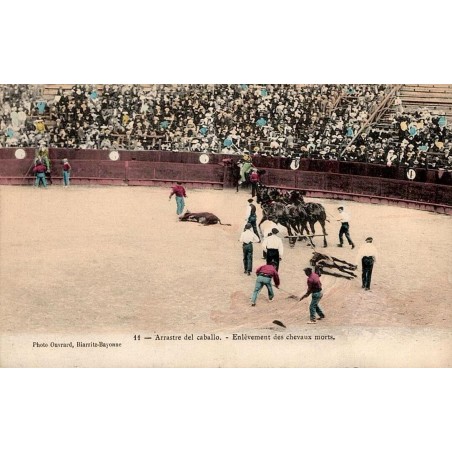 CPA corrida montrant l’enlèvement de chevaux morts dans une arène devant des gradins remplis