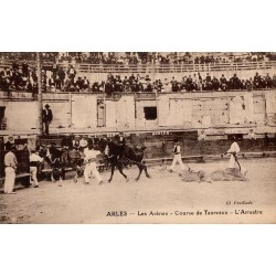 CPA Arles montrant l’arrastre d’un taureau par un attelage dans les arènes romaines