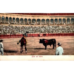 CPA photochromique montrant un picador à cheval face au taureau dans des arènes espagnoles
