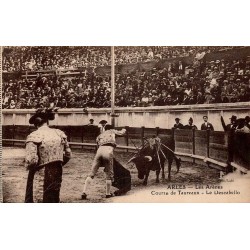 CPA Arles montrant le descabello pendant une course de taureaux dans les arènes