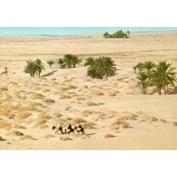 CPSM Grand Sud tunisien montrant une caravane traversant le désert près d’une oasis de palmiers