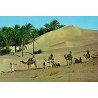 CPM Sahara tunisien montrant une caravane de dromadaires dans les dunes près d’une palmeraie