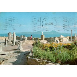 CPM Carthage Antiquarium et vestiges antiques
