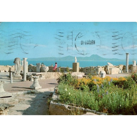 CPM Carthage Antiquarium et vestiges antiques