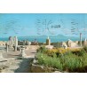 CPM Carthage Antiquarium et vestiges antiques