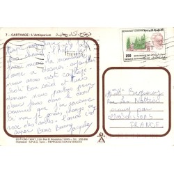 CPM Carthage Antiquarium et vestiges antiques
