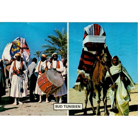 CPM Sud tunisien montrant des musiciens traditionnels et un dromadaire paré pour une cérémonie