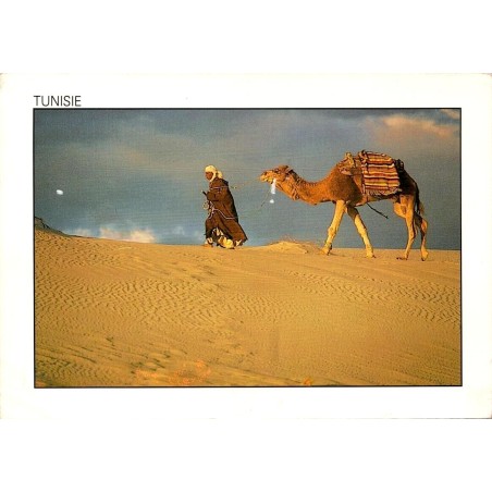 CPM Tunisie montrant un homme guidant un dromadaire chargé d’un tapis dans les dunes du Sahara
