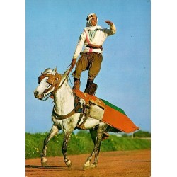 CPSM Tunisie cavalier acrobate debout sur un cheval lors d’une figure de fantasia