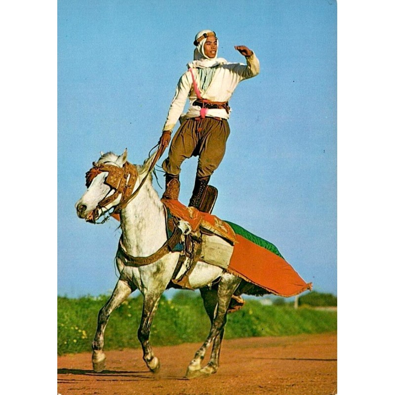 CPSM Tunisie cavalier acrobate debout sur un cheval lors d’une figure de fantasia