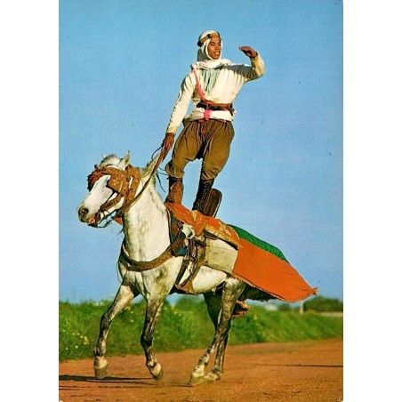 CPSM Tunisie cavalier acrobate debout sur un cheval lors d’une figure de fantasia
