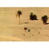 CPM Sud tunisien homme conduisant un dromadaire entre les palmiers vers le Sahara