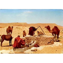CPM Sud tunisien femmes au puits avec dromadaires dans un paysage désertique