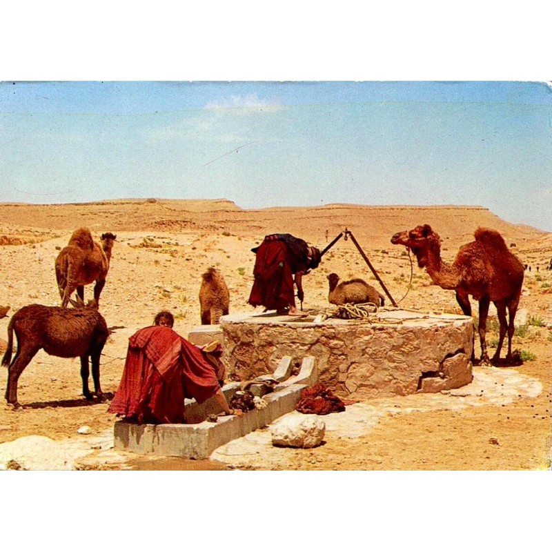 CPM Sud tunisien femmes au puits avec dromadaires dans un paysage désertique