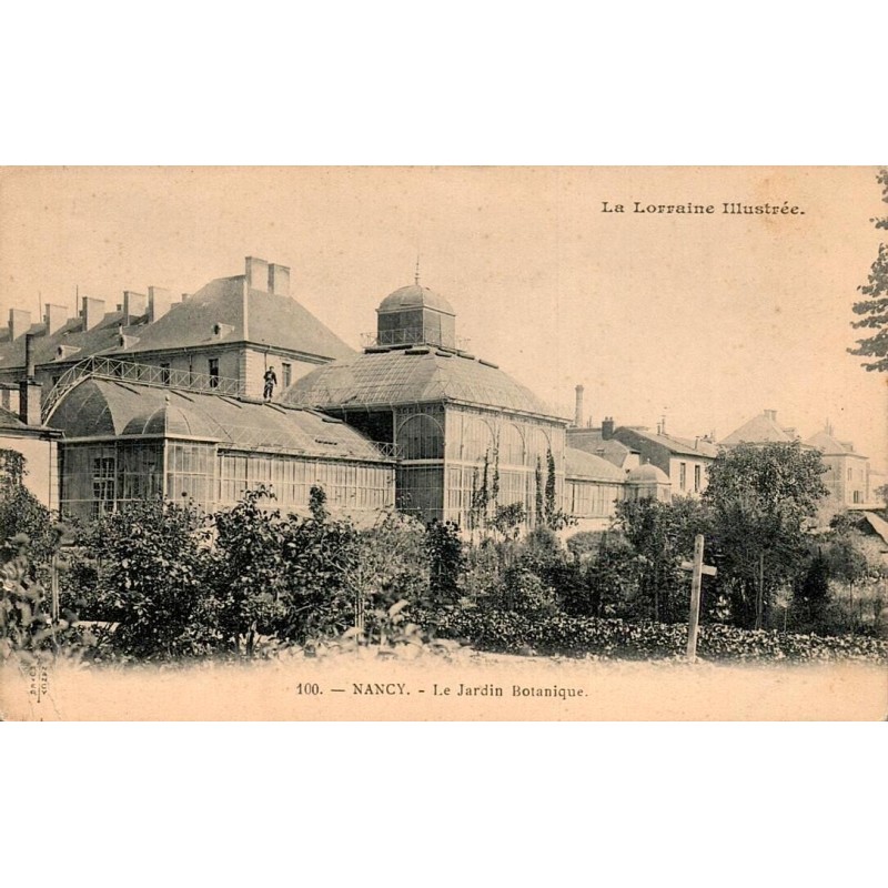 CPA Nancy jardin botanique avec serres anciennes et plantations