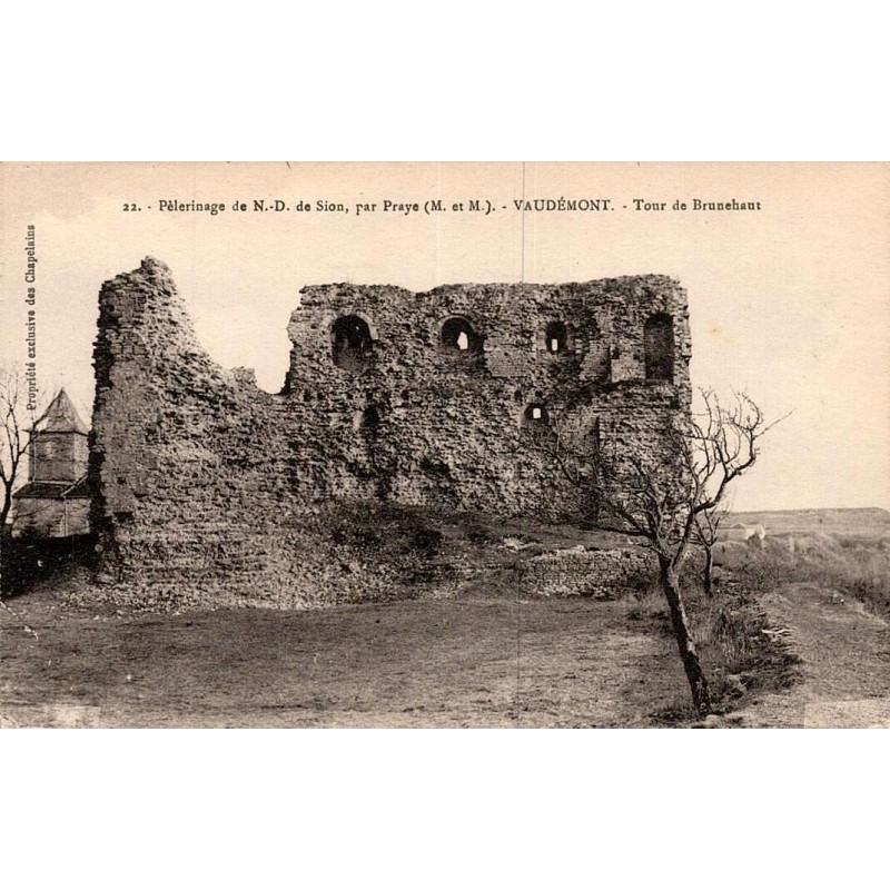CPA Vaudémont tour de Brunehaut et ruines du château près de Notre-Dame de Sion