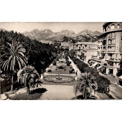 CPSM Menton jardin public palmiers et montagnes Alpes-Maritimes