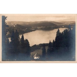 CPA Titisee lac de la Forêt-Noire entouré de sapins, Bade-Wurtemberg Allemagne
