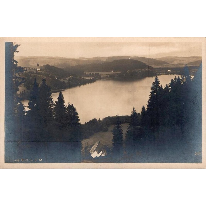 CPA Titisee lac de la Forêt-Noire entouré de sapins, Bade-Wurtemberg Allemagne