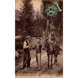 CPA Types de Paysans Pyrénéens, femme à dos d’âne et personnages en costumes ruraux