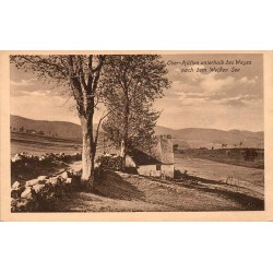 CPA Radolfzell am Bodensee, rive arborée et barque au bord du lac de Constance, correspondance datée 1915