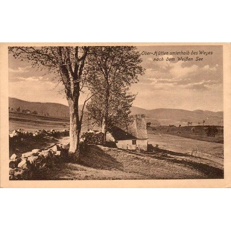 CPA Radolfzell am Bodensee, rive arborée et barque au bord du lac de Constance, correspondance datée 1915