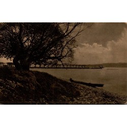 CPA Radolfzell am Bodensee, rive arborée et barque au bord du lac de Constance, correspondance datée 1915